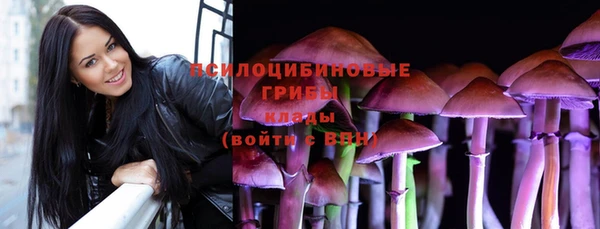 крисы Куйбышев