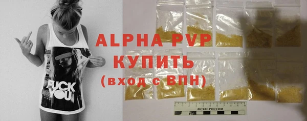 сатива Кукмор