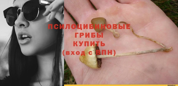 сатива Кукмор