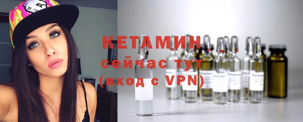 сатива Кукмор