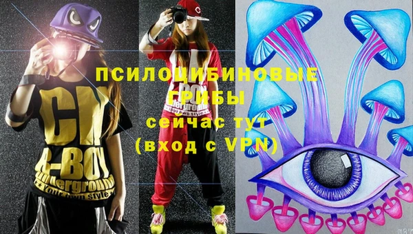 эйфоретик Кулебаки