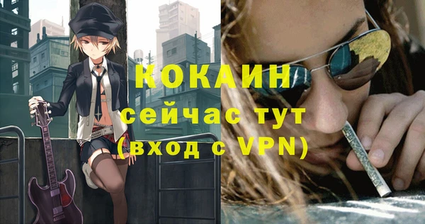 сатива Кукмор
