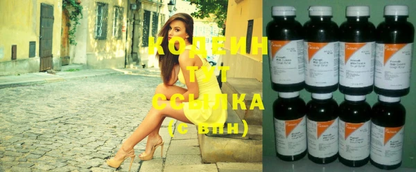 сатива Кукмор
