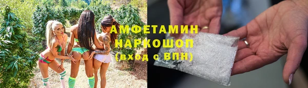сатива Кукмор