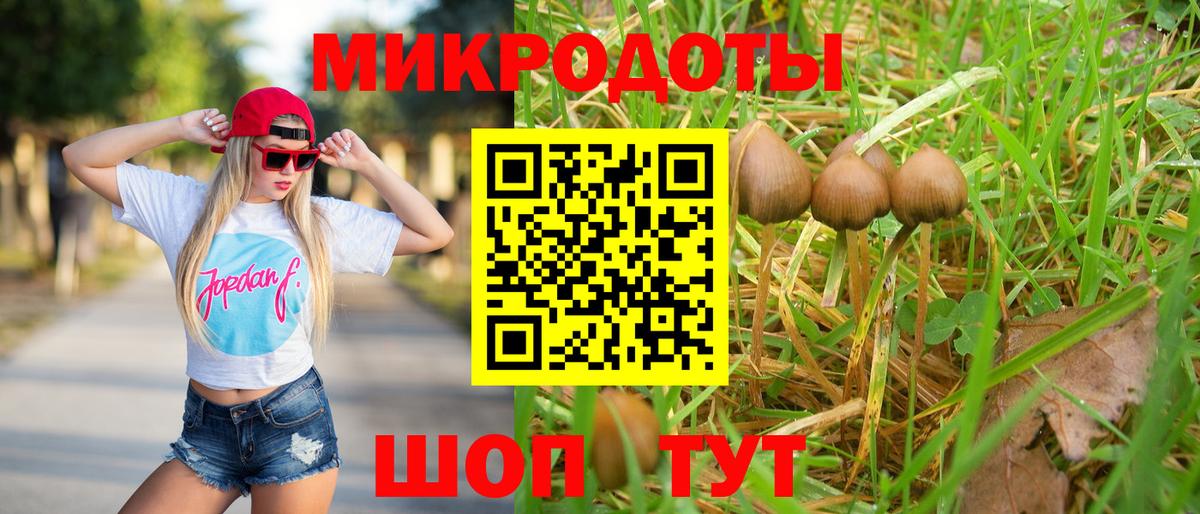 Псилоцибиновые грибы мухоморы Калининград