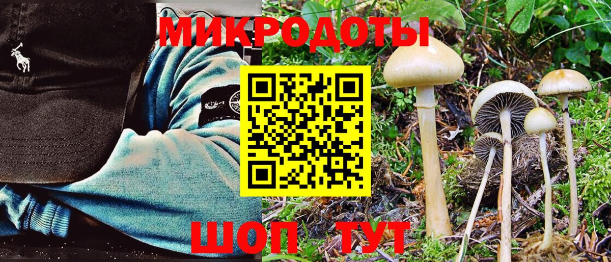 Галлюциногенные грибы Cubensis  Вход с VPN  Калининград 