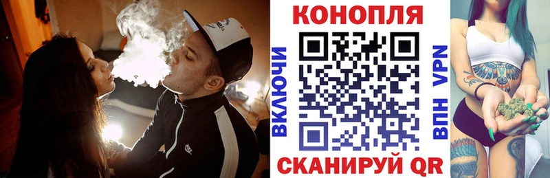наркотики  Калининград  Бошки Шишки гибрид 